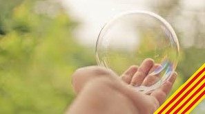 Transparència i Bon Govern